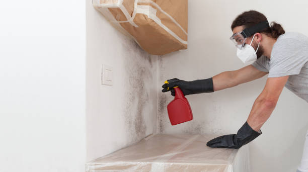 Professional Bathroom Mold Removal technician working in Salem, NJ